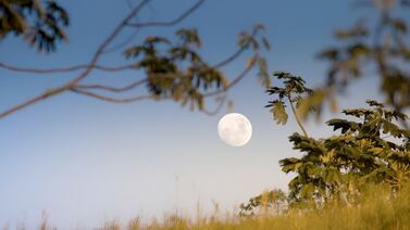 ¿Por qué es posible ver la Luna en pleno día? Científico de la NASA responde