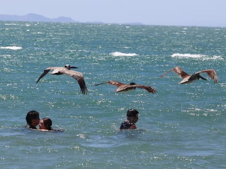 Bomberos recomiendan a bañistas no meterse “mucho” al mar