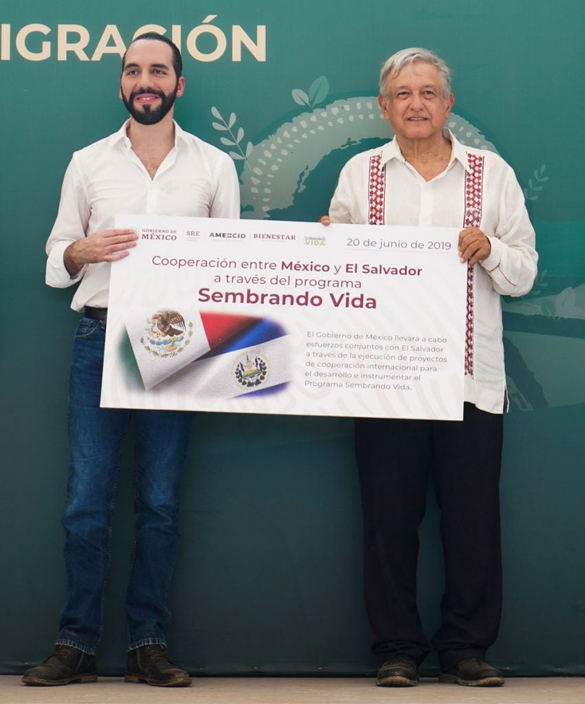 Nayib Bukele adoptó el programa social "Sembrando Vida" de AMLO. | Presidencia de México