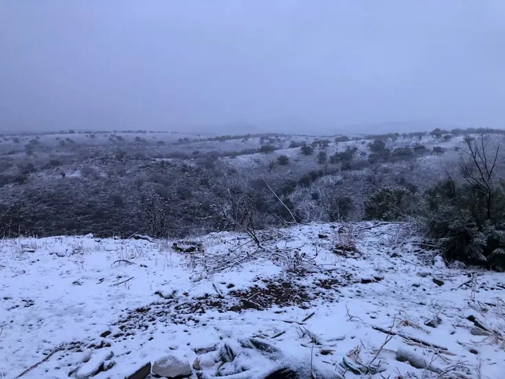 Clima en Sonora: Pronostican chubascos y posibles nevadas a partir del jueves en la Entidad 