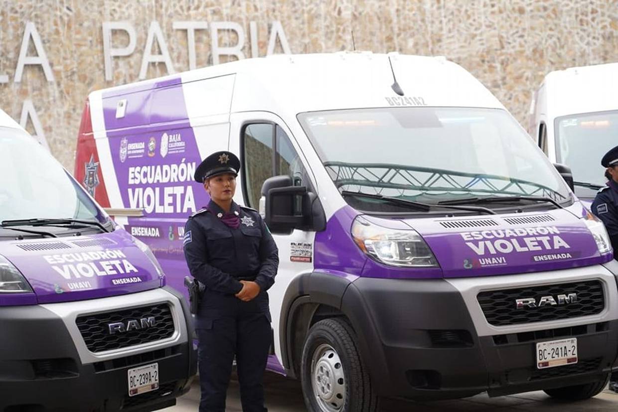 Buscan unificar Programa Violeta para atención a víctimas de violencia