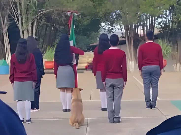 VIDEO: Escuela adopta a perrito que conquistó las redes por marchar junto a los alumnos en la escolta