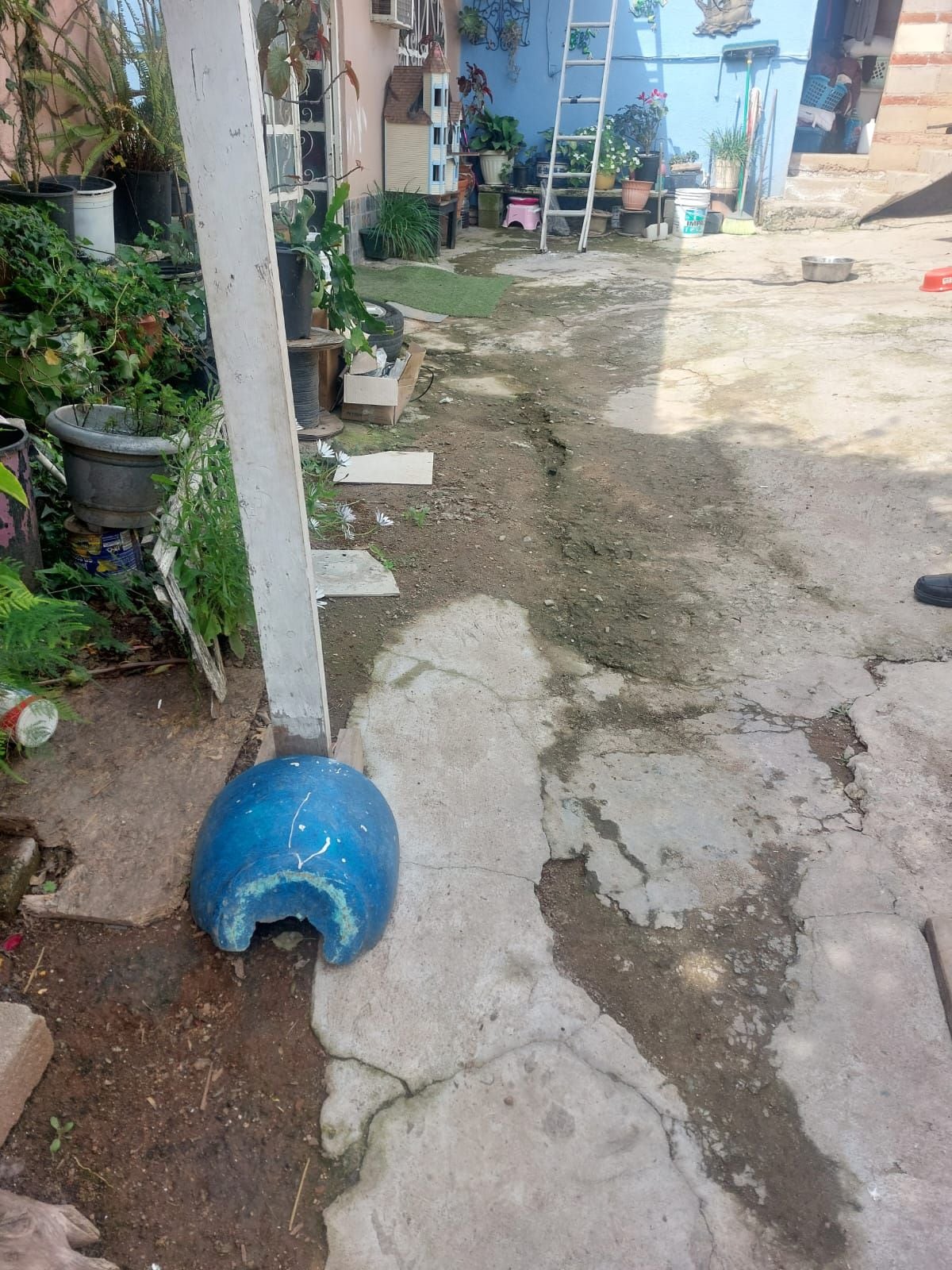 Vecino de las Torres piden apoyo por filtración de agua