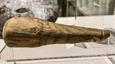 Objeto de madera de casi 2 mil años sugiere que los romanos utilizaban juguetes sexuales; señala estudio