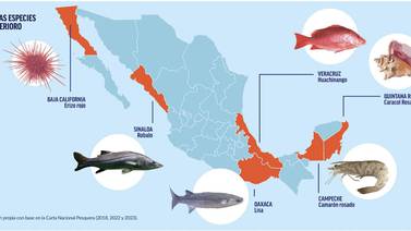 Seis especies pesqueras están en riesgo de perderse en México: Oceana
