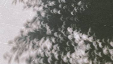 ¿Por qué se forman sombras de media luna bajo los árboles durante un eclipse solar?   
