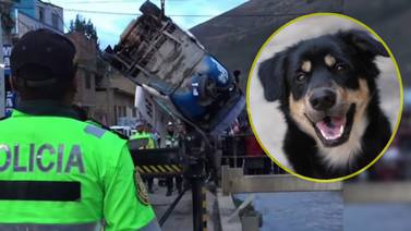 VIDEO: Mototaxi se voltea y cae a río para evitar atropellar a un perrito en Perú