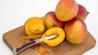 Descubre los beneficios de consumir el mango en esta temporada