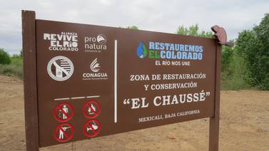 8 años de restauración de bosques en el río Colorado