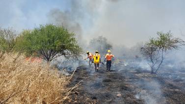 Sonora se encuentra en una etapa crítica en el tema de incendios forestales: Conafor