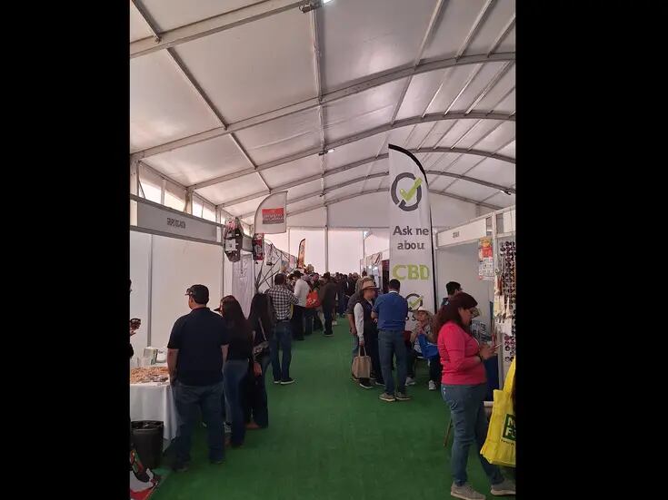 Vive Expo AgroBaja un gran ambiente en su segundo día de apertura