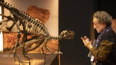 Museo de Barcelona exhibe réplica de dinosaurio de la Patagonia