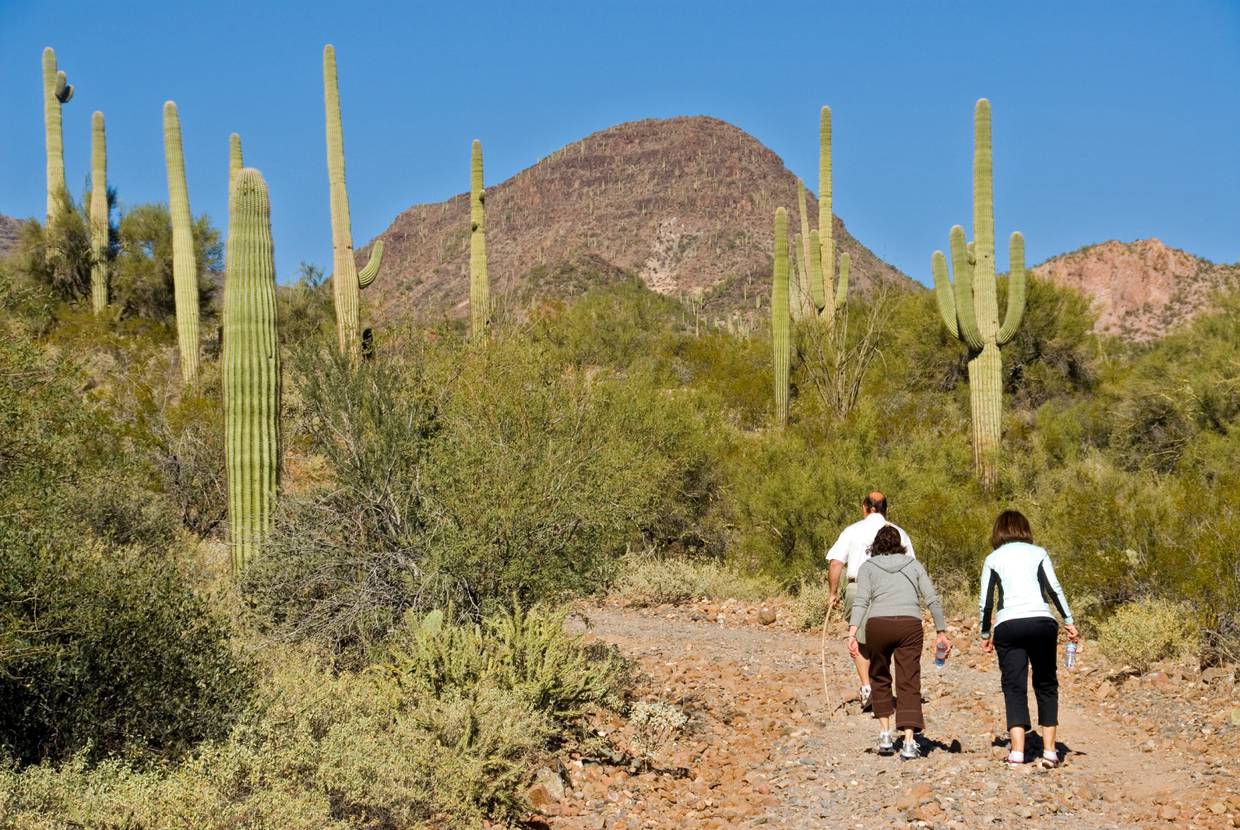 Disfruta de un paseo pintoresco al Oeste del centro de Tucson, Arizona.