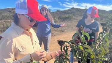 Secretaría de medio ambiente llama al cuidado de plantas nativas en zona Este de Tijuana
