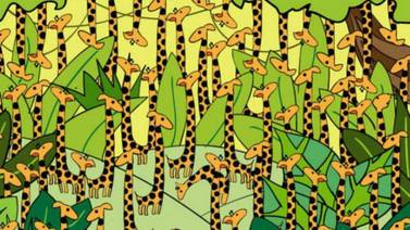 Acertijo visual: ¿Puedes encontrar la serpiente entre las jirafas en menos de 7 segundos? 