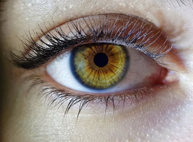 ¿Sabías que los ojos humanos son tan potentes que pueden distinguir hasta 10 millones de colores diferentes?