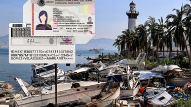 INE informa robo masivo de credenciales en Acapulco después del huracán 'Otis'