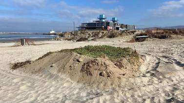 Denuncian falsa restauración de dunas en Playa Hermosa 