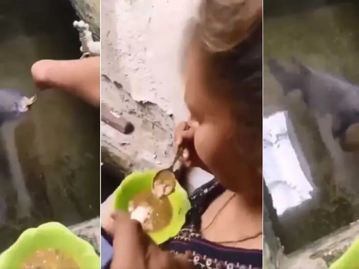 VIDEO: Mujer alimenta a pescado con sopa y arroz utilizando una cuchara