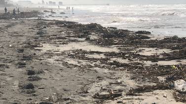 Lluvias dejan toneladas de basura y ramas secas en playa de Rosarito