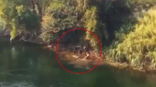 Familia muere ahogada en río de Chiapas durante SS