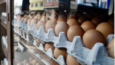 Precio del huevo se mantiene en Sonora a pesar de que se reporta baja producción 