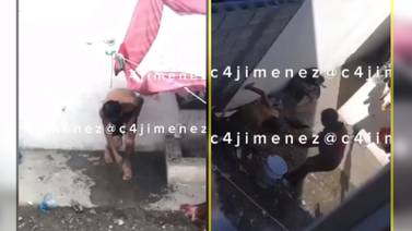 VIDEO: Rescatan a hombre maltratado por mujer en Nuevo León en condiciones "inhumanas"; le daba comida de perro y dormía entre gallinas
