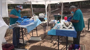 Asociación Huellitas de Rosarito anuncia últimas campañas de esterilización de mascotas