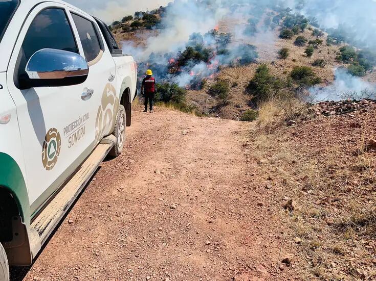 Atienden en Sonora protocolos de prevención para control de incendios forestales