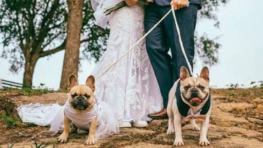 ¿Las mascotas pueden hacer la función de testigo en una boda?