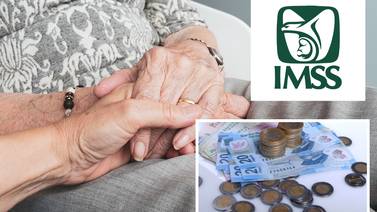 Pensión IMSS: ¿Qué jubilados podrían perder su pago en junio?