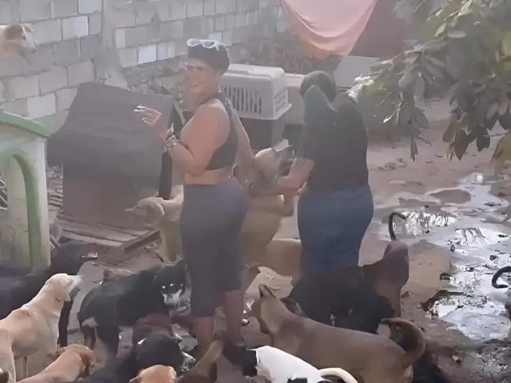 Niurka Marcos es acusada de sacrificar perros para rituales de santería 