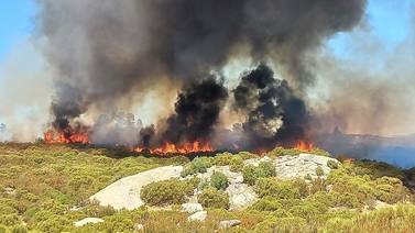 Incendio forestal consume 10 hectáreas en carretera Tecate-Mexicali