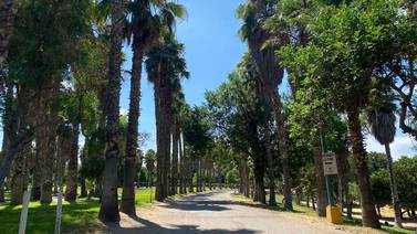 Parques Morelos, de la Amistad y Sauces cerrarán los miércoles por mantenimiento