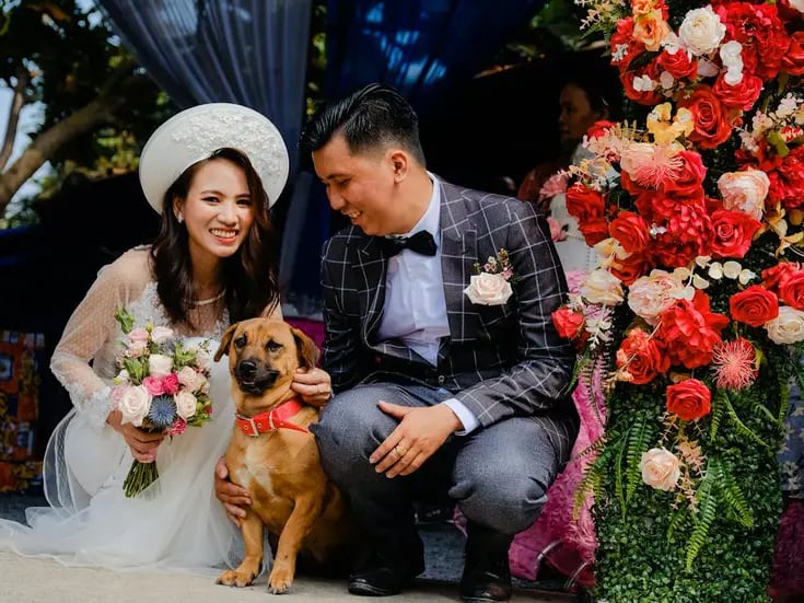 Descubre si es posible que tu mascota sea testigo en tu boda civil