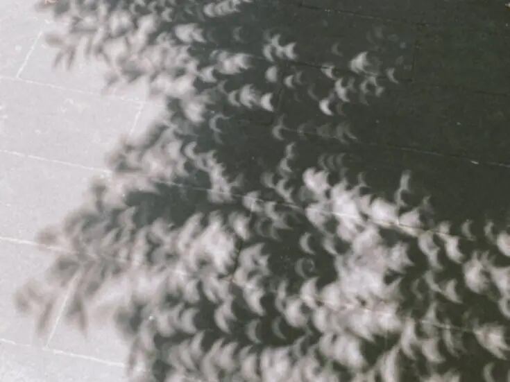 ¿Por qué se forman sombras de media luna bajo los árboles durante un eclipse solar?   