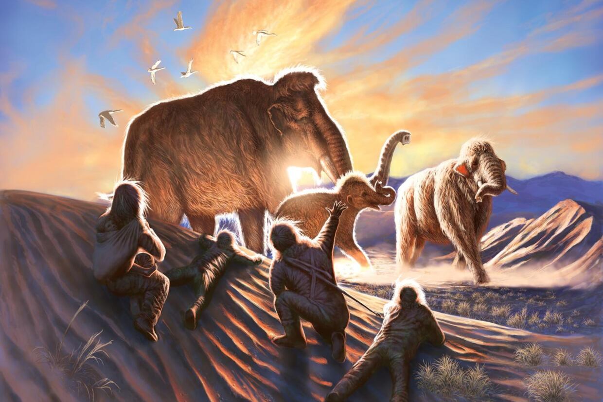 Ilustración que muestra a tres mamuts siendo observados por una familia de antiguos habitantes de Alaska desde las dunas cercanas al yacimiento arqueológico de Swan Point, un campamento de caza estacional ocupado hace 14.000 años. EFE/ Imagen de Julius Csostonyi