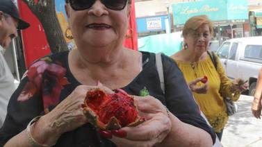 Vendedores de pitahayas seguirán en el Mercado