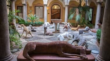 Una instalación de arte, símbolo de la lucha contra la mafia en Palermo