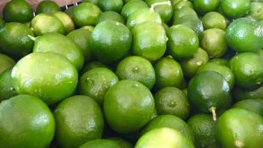 Pega el precio del limón y el aguacate en Sur de Sonora