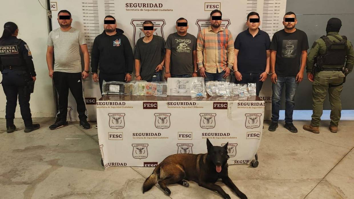 Los sujetos fueron detenidos e identificados como: Erick Germán “N”, Carlos “N”, Luis Miguel “N”, Noé “N”, Javier “N”, José Gilberto “N” y Alexis “N”, todos originarios de Tijuana.