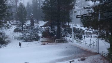 Piden abstenerse de viajar a sierra de San Pedro Mártir por nevada