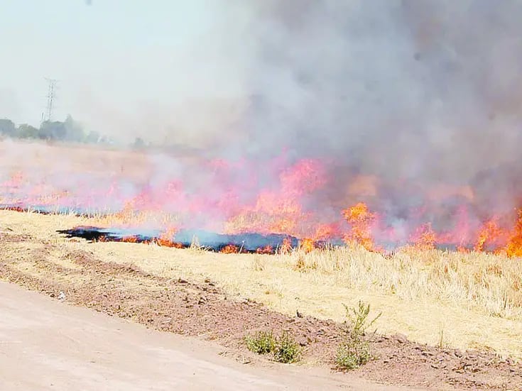 Pese a incremento en sanciones, quema de gavilla no cesa en el Valle del Yaqui