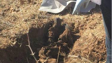 Suman seis restos óseos hallados este año en Nogales