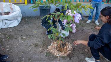 Invitan a plantar árboles en Tijuana
