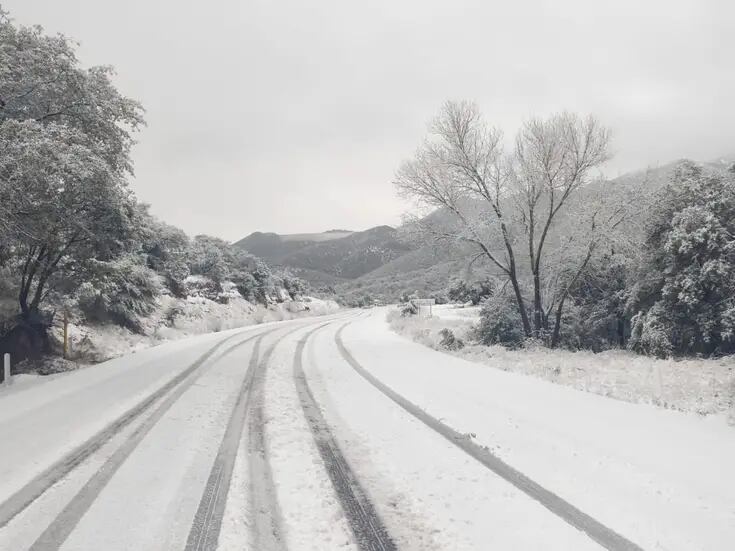 Clima en Sonora: Nuevo frente frío que llegará al Estado traería más lluvias y nevadas