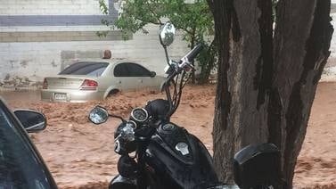 VIDEO: Rescatan a persona de arroyo tras lluvias en Nogales; caen árboles