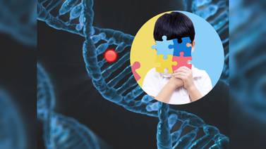 Estos genes conducirían al trastorno del espectro autista, según descubrimiento