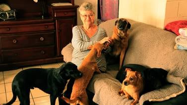 Claudine busca hogar para sus 8 perritos para poder regresar a su natal Francia
