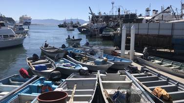 Pescadores de Ensenada continúan esperando sus permisos para atún